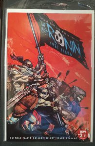 Teenage Mutant Ninja Turtles: The Last Ronin - The Lost Years #2