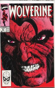 Wolverine #21 (1990) Wolverine