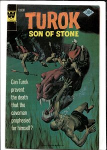 Turok, Son of Stone #105 (1976)