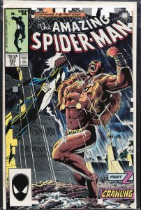 The Amazing Spider-Man #293 (1987) Spider-Man