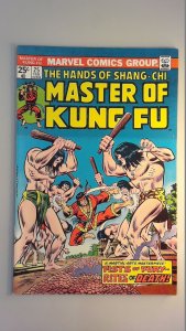 Master of Kung Fu #25 (1975) FN