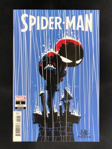 Spider-Man #1 Young Cover (2022) NM