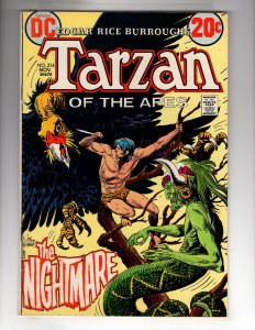 Edgar Rice Burroughs' Tarzan #214 (1972)  / ECA5X
