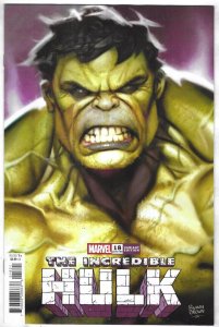 Incredible Hulk #18 2024 Ryan Brown Cover B Marvel Comics EB55