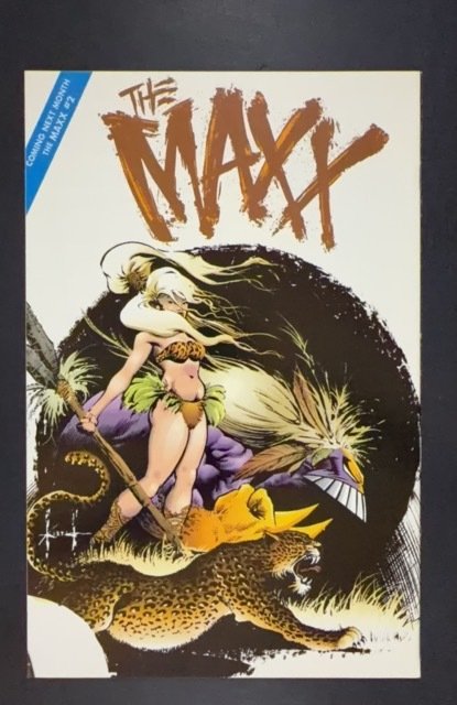 The Maxx #1 (1993)