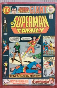 The Superman Family #173 (1975)