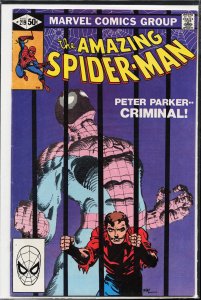 The Amazing Spider-Man #219 (1981) Spider-Man