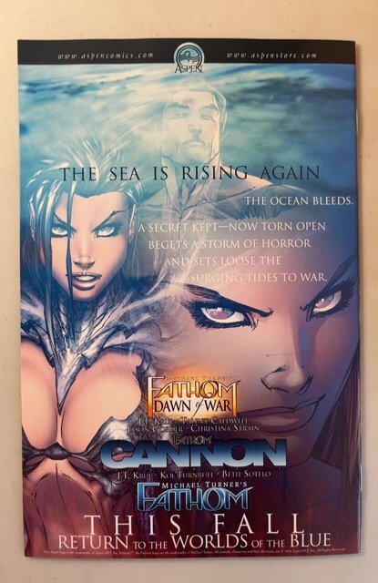 Michael Turner's Soulfire #1 (2004)