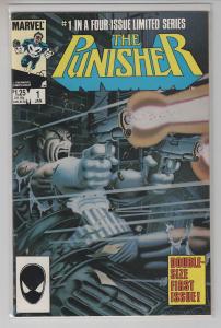 PUNISHER LIMITED SERIES 5 ISSUE SET 1-5 ALL NM-/NM