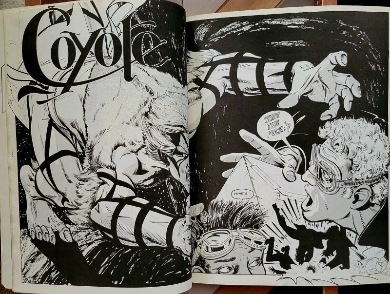 ECLIPSE MAGAZINE #2 VF (1981) Michael Golden Cover & Poster, KEN STEACY artwork