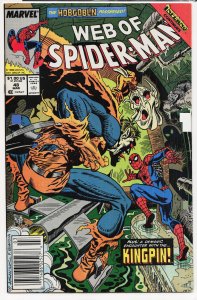 Web of Spider-Man #48 (1989) Spider-Man