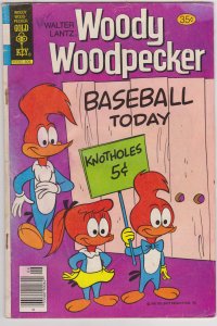 Woody Woodpecker #167