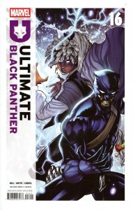 Ultimate Black Panther (2024) #16 NM Stefano Caselli Cover