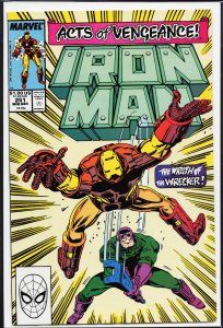 Iron Man #251 (1989) Iron Man