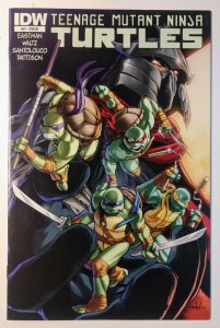 Teenage Mutant Ninja Turtles #47 (9.4, 2015) Cover RI - Valerio Schiti