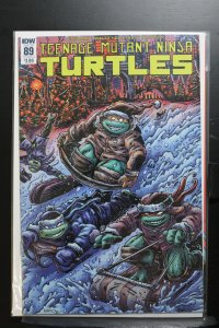 Teenage Mutant Ninja Turtles #89 Cover B - Kevin Eastman (2018)