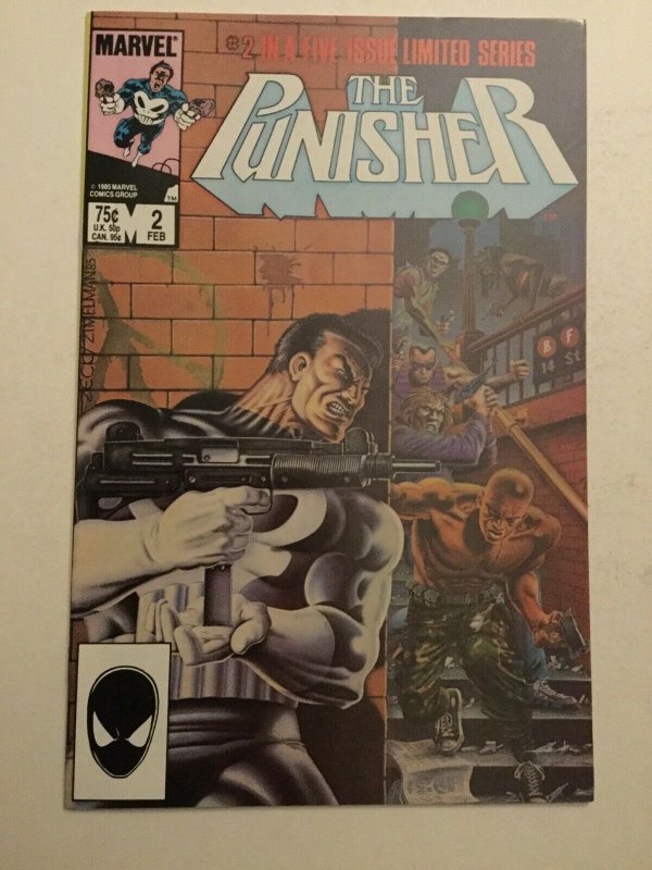 Punisher 2 Nm Near Mint Limited Series Marvel