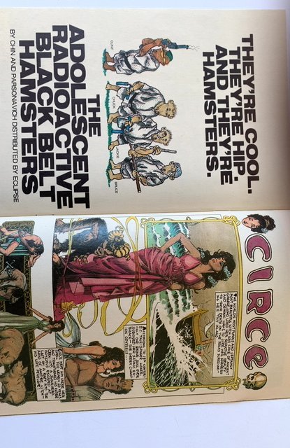 Twisted Tales of Bruce Jones #3 (1986)