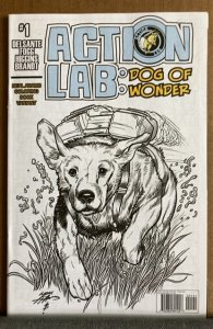 Action Lab, Dog of Wonder #1 Cover C (2016)
