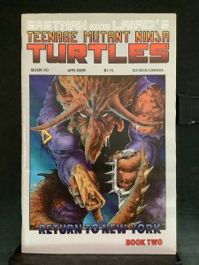 Teenage Mutant Ninja Turtles #20 (1989)