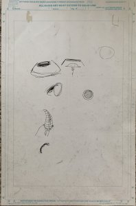 MAGNUS ROBOT FIGHTER #2 PG 2 ORIGINAL ART NICHOLS BOB LAYTON VALIANT COMIC PAGE