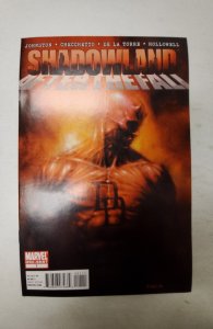 Shadowland: After the Fall #1 (2011) NM Marvel Comic Book J714