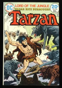 Tarzan #226 NM/M 9.8 Tongie Farm Collection