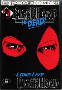 The Black Hood #2 (1992)