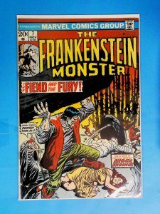 The Frankenstein Monster #7 (1973)