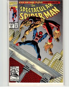 The Spectacular Spider-Man #193 (1992) Spider-Man