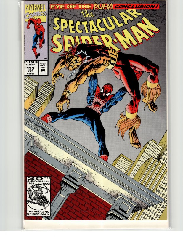 The Spectacular Spider-Man #193 (1992) Spider-Man