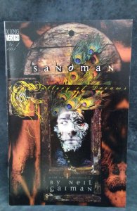 The Sandman: A Gallery of Dreams (1994)