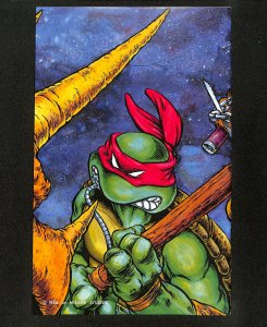 Teenage Mutant Ninja Turtles #6