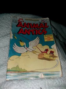 Animal Antics #30 1951 DC comics sheldon MAYER ART Golden age raccoon kids rare