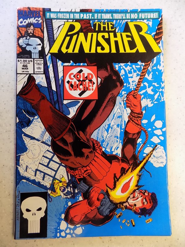 PUNISHER # 46