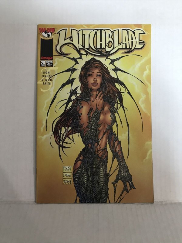 Witchblade #25