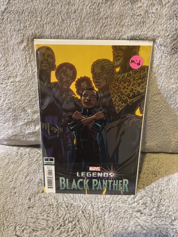 Black Panther Legends #1 Brian Stelfreeze Variant