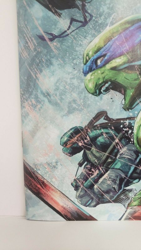 Teenage Mutant Ninja Turtles #114 1:10 Hervas Incentive Variant! IDW Comics 2021