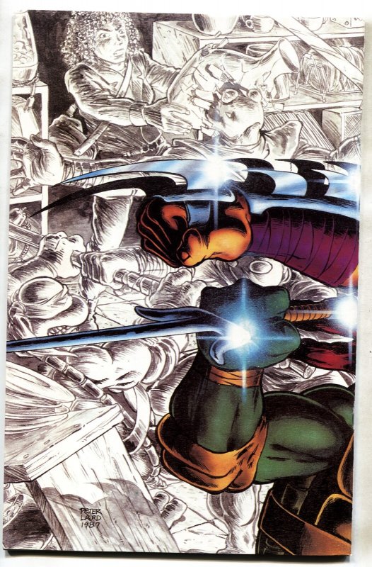 TEENAGE MUTANT NINJA TURTLES #10--Mirage--comic book--1987--Shredder