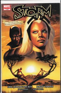 Storm #1 (2006) Storm