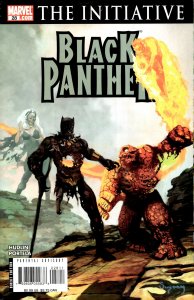Black Panther #28 (2007) Black Panther