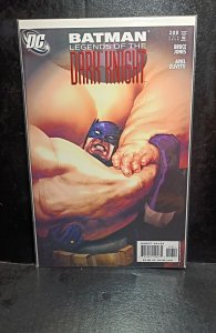 Batman: Legends of the Dark Knight #210 (2006)