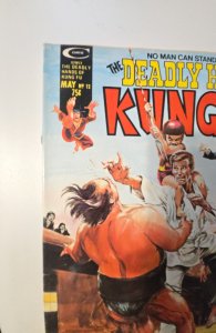 The Deadly Hands of Kung Fu #12 (1975)