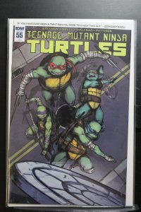 Teenage Mutant Ninja Turtles #55 Cover RI (2015)