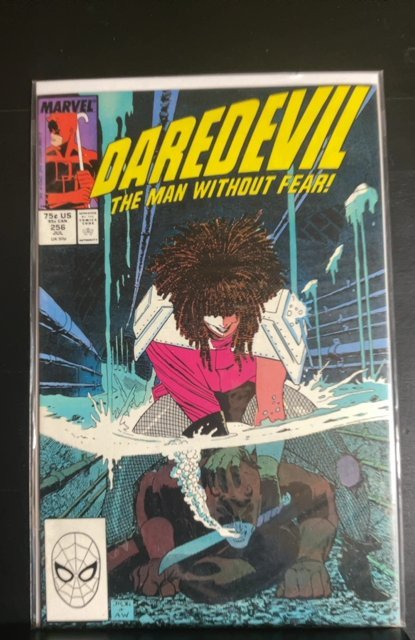 Daredevil #256 (1988)