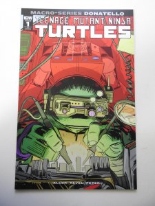 Teenage Mutant Ninja Turtles Micro-Series #1 RI Cover