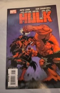 Hulk #17 (2010)The Hulk #17 Churchill And Steigerwald Cover