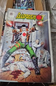 Bloodshot #13 (1994)