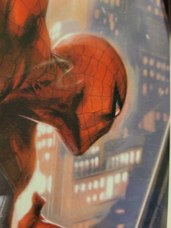 Amazing Spiderman 17.1 Dell Otto Variant Spiderman 1 