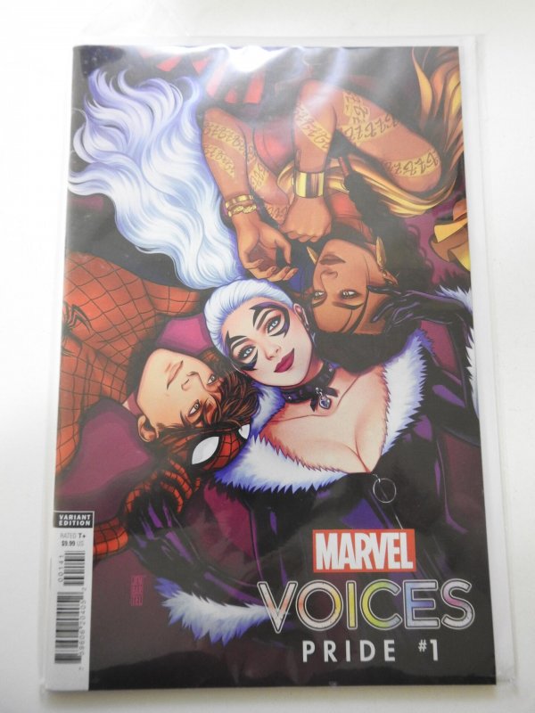 Voices: Pride #1 Variant Edition